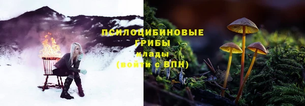 мдпв Лабытнанги