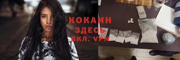 гашик Алзамай
