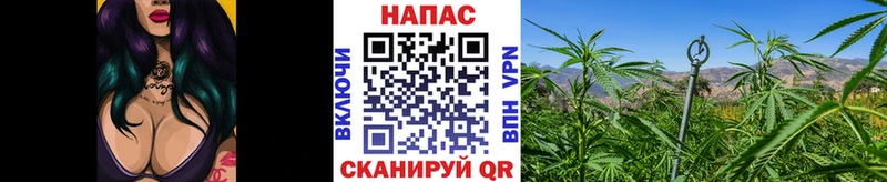 Канабис индика  сколько стоит  Нурлат 